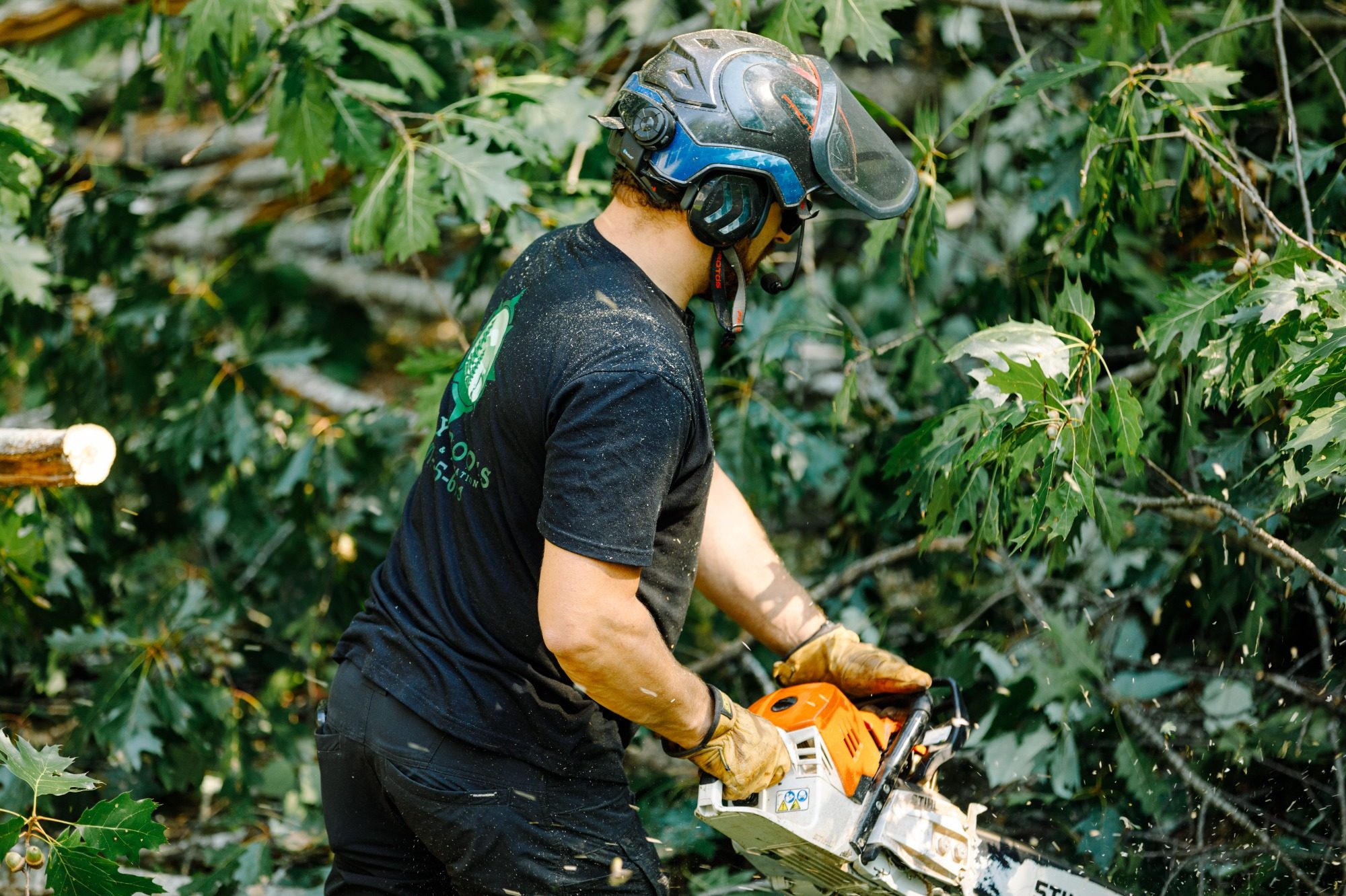 Tree service